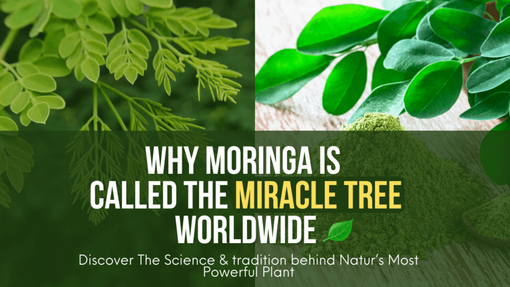 Moringa