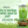 moringa powder benefits