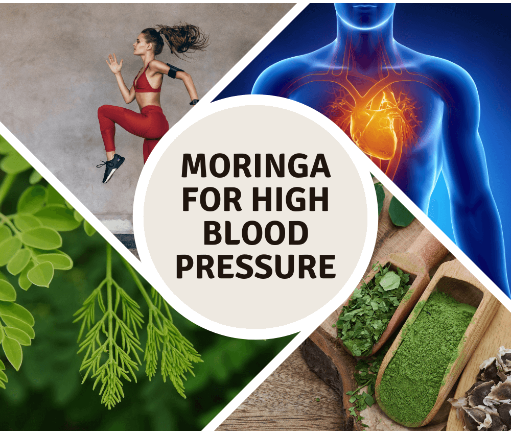 Moringa for High Blood Pressure: Complete Guide