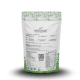 Moringa Powder and Capsules